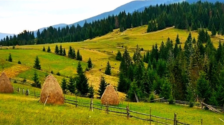 Природа Закарпаття