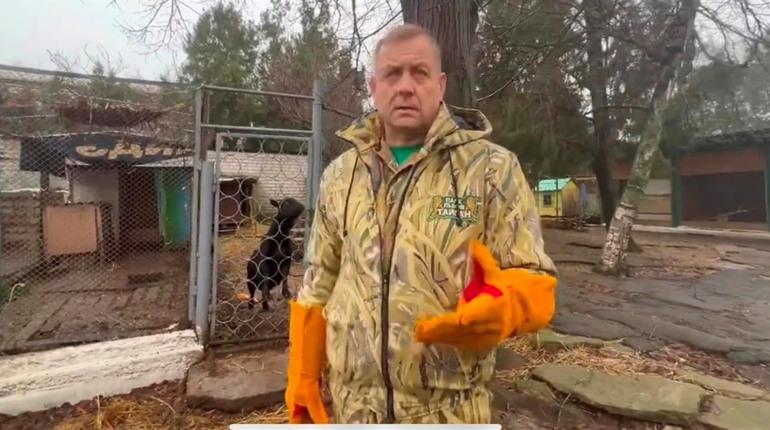 На директора парку «Тайган», який вивозив тварин з Херсонщини, напали вкрадені леви