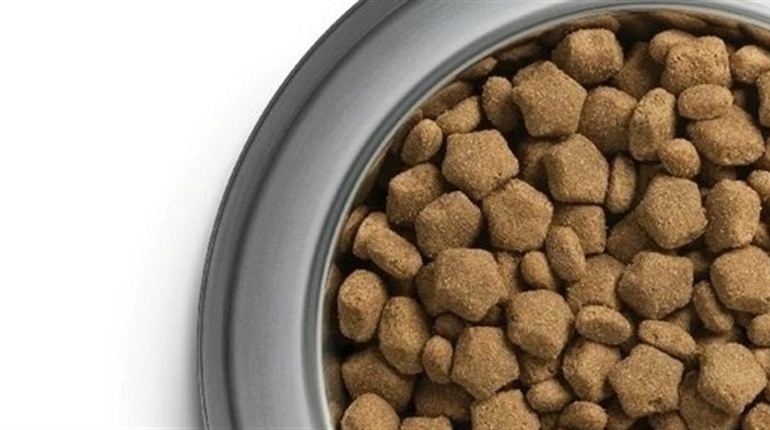 Корм Dog Chow – харчування з урахуванням особливих потреб домашнього улюбленця