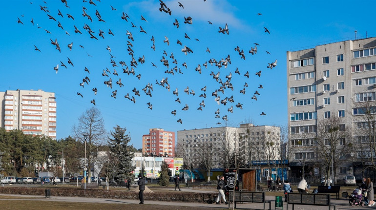 Радіаційний стан навколо Хмельницької АЕС за минулий тиждень