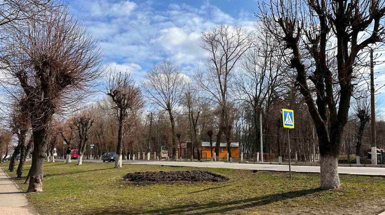 Погода у Старокостянтинові на 25-31 березня: коли потеплішає