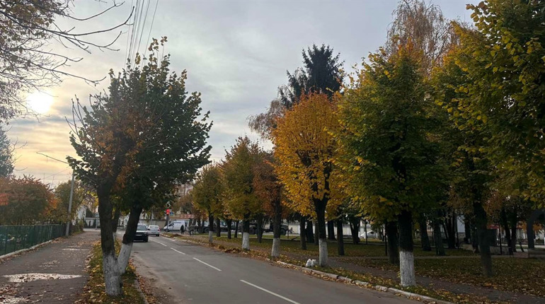 Погода у Старокостянтинові на 3-9 листопада: дощовий початок тижня й прохолодні вихідні