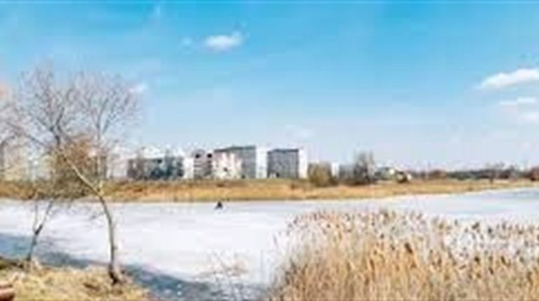 Погода у Нетішині на завтра, 1 лютого