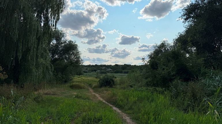 Прохолода, потепління і грози: яку погоду Первомайську прогнозують в середині липня