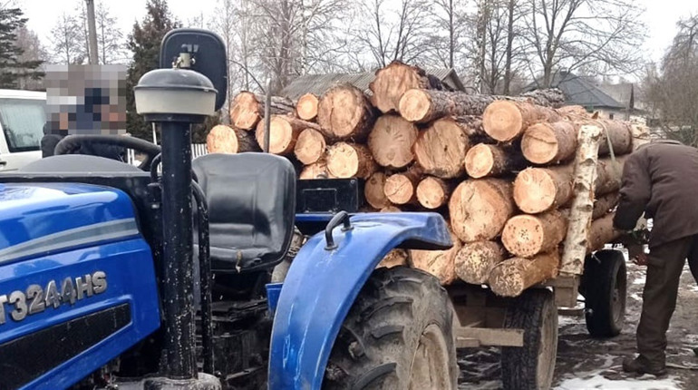 Перевозили нелегальну деревину: в Сарненському районі спіймали п’ятьох порушників