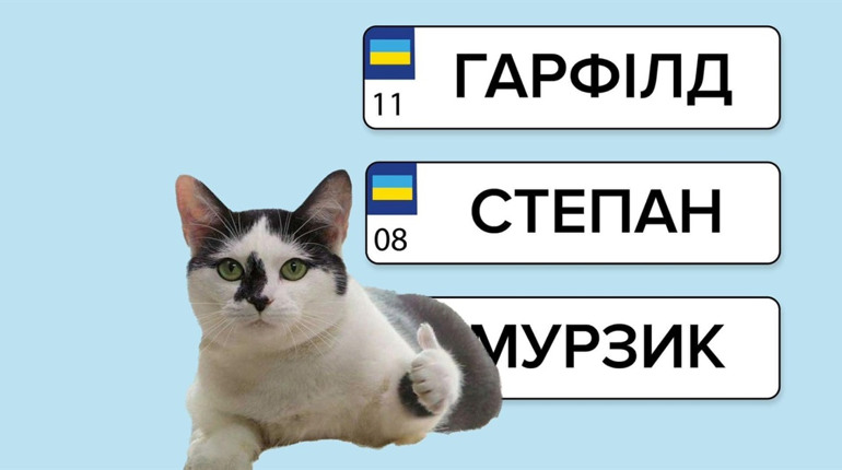Індивідуальні номерні знаки знову доступні! Ціна питання