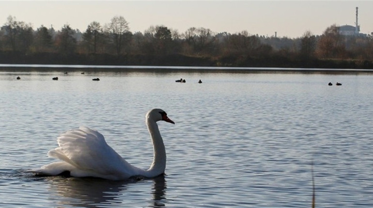 Радіаційний стан навколо Хмельницької АЕС за минулий тиждень