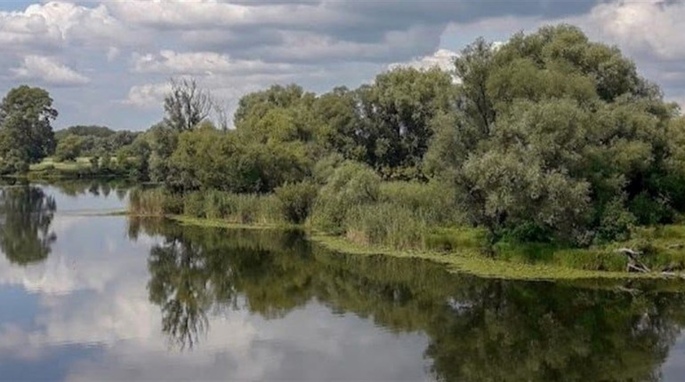 Трагічний випадок у Корюківському районі: 19-річний юнак потонув у ставку під час купання