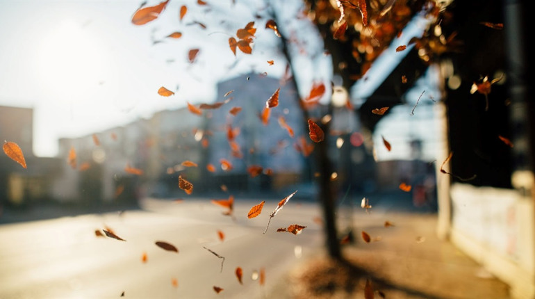 Осіння фотосесія у Городку: десять локацій від Городок.Сіty
