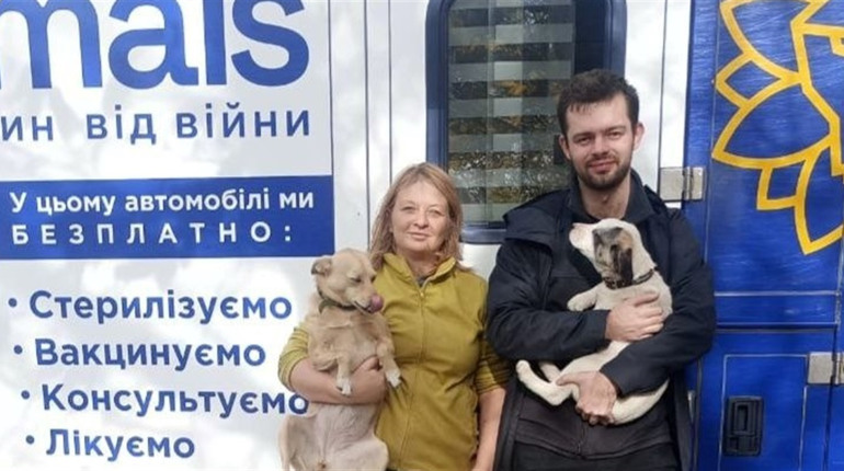 На території Гуляйпільської громади проведено безкоштовну стерилізацію та вакцинацію тварин