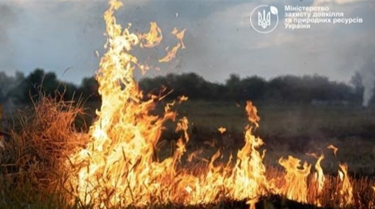 За підпал сухої трави та листя загрожує адміністративна та кримінальна відповідальність
