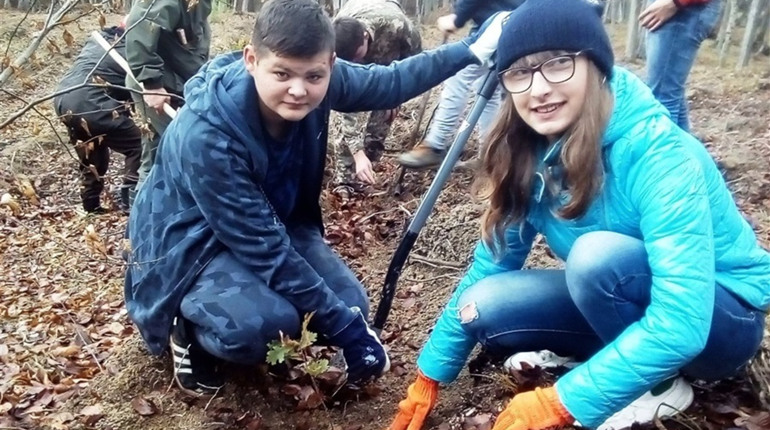 Шкільне лісництво із Підмихайля здобуло перемогу у конкурсі «Ліси для нащадків»