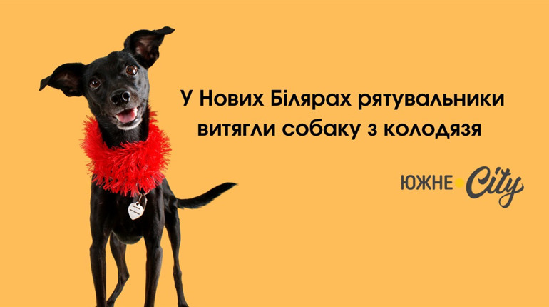 У Нових Білярах рятувальники витягли собаку з колодязя (ФОТО)