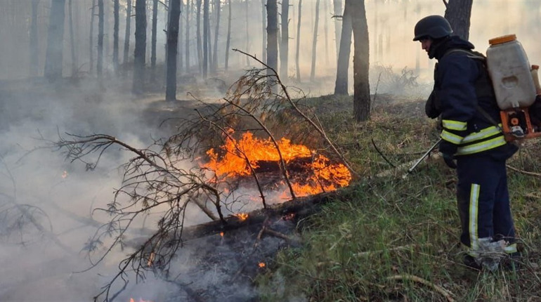 Дві лісові пожежі виникли в Куп’янському районі через обстріли 14 квітня