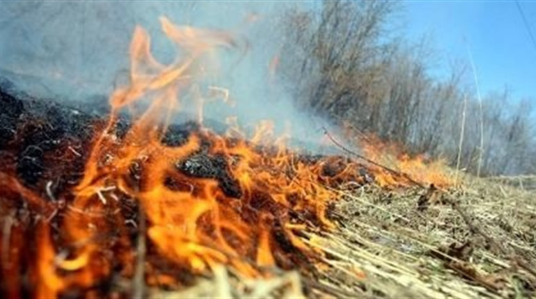 На Шосткинщині рятувальники штрафуватимуть за спалювання сухостою: які суми штрафів