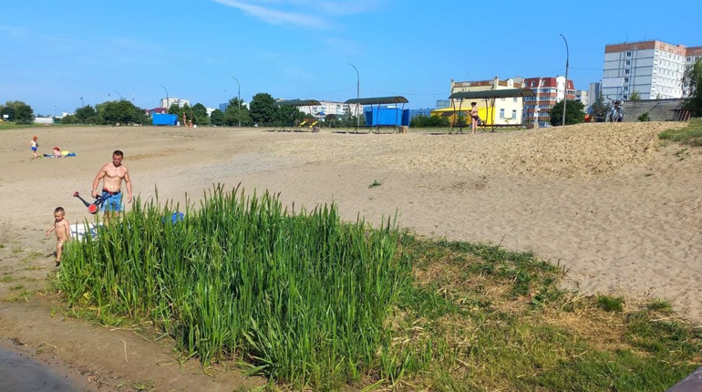Купальний сезон відкрито: вода "озера для купання" відповідає нормам