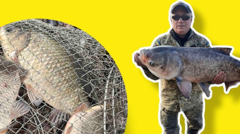 Риболовля у Жовтих Водах: де можна піймати трофейного сома вагою 29 кг