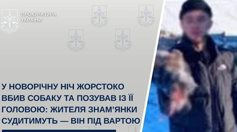 У новорічну ніч убив собаку та виклав фото в соцмережах: у Знам’янці судитимуть 19-річного чоловіка