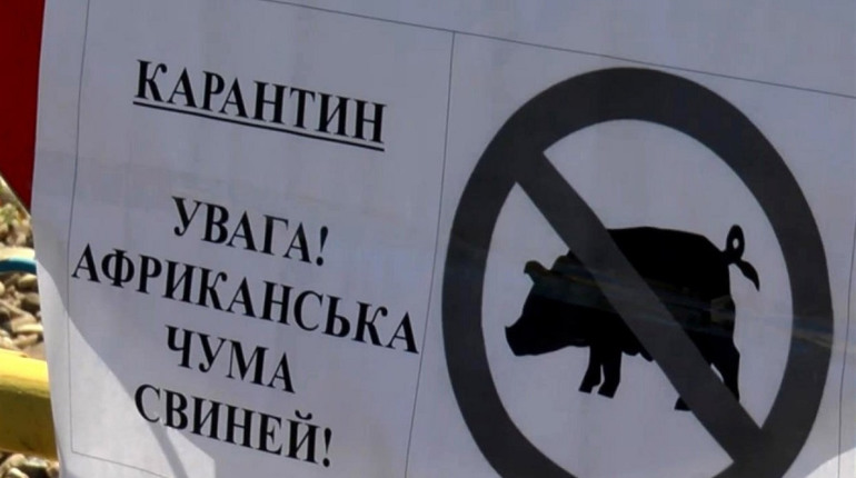 Одним карантином не обійшлося: тепер в селі ще й карантин по африканській чумі свиней додали