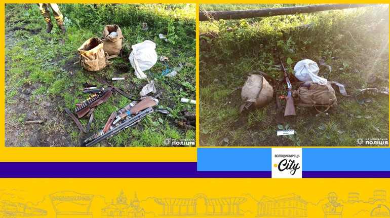 У Сопачівському лісництві затримали браконьєра з м'ясом вбитого лося