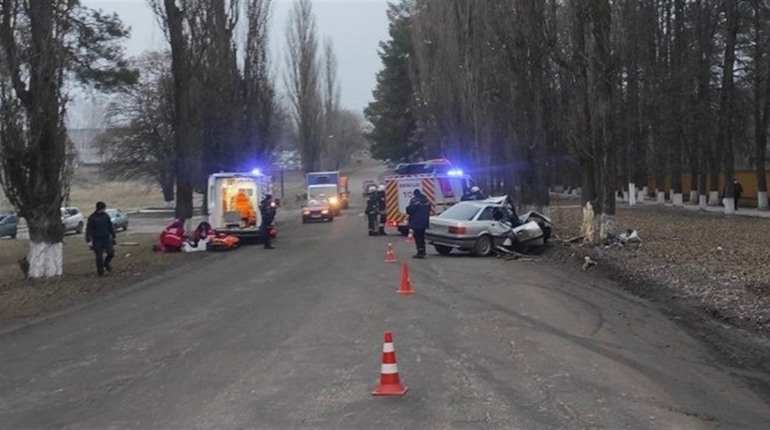 Трагічна статистика на дорогах Сумщини: за три місяці в аваріях загинуло 125 людей