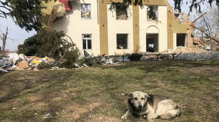 Як в умовах війни живе Бишів: розповів голова громади