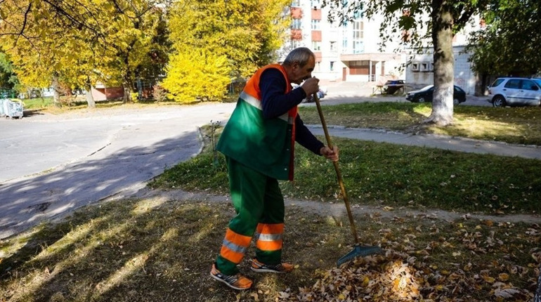 Продавцю пива пропонують до 10 000 грн, двірнику - 6 700 грн: свіжі вакансії в Жовтих Водах