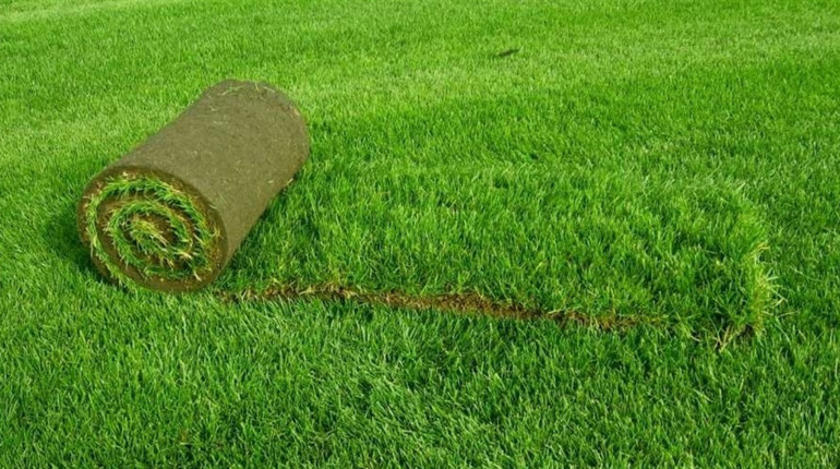 Мешканець села Золотоніської ТГ поцупив трав’яне покриття з громадського стадіону: вдома потрібніше