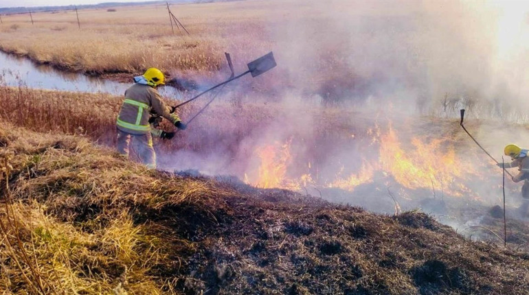 Згорів майже гектар поля: у Сарненському районі гасили три пожежі за добу