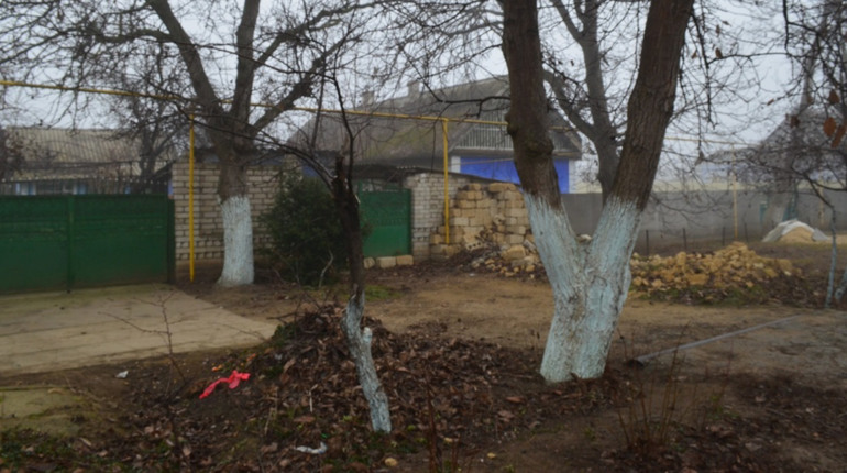 Інспекторка з благоустрою Біляївської громади нагадує: не залишайте хмиз, лозу, гілля біля дворів