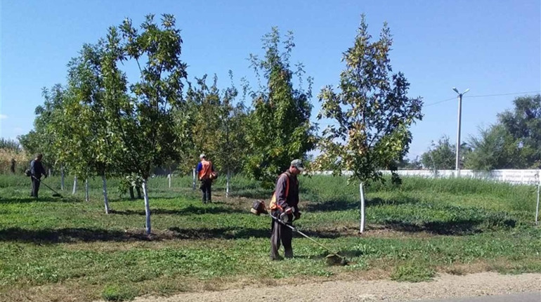 Комунальні будні: чим наразі займаються біляївські комунальники