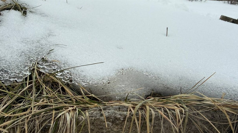 Мороз, дощ і лід: чи справді поля Первомайщини залишаться без врожаю