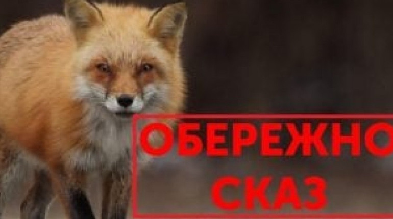 Мешканців Великобурлуччини попереджають про небезпеку захворювання на сказ