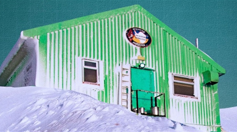 Українські полярники запрошують на відкритий онлайн-урок: поговорити про китів та життя під кригою