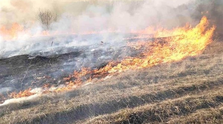 На вихідних рятувальники чотири рази виїжджали на загоряння сухої трави