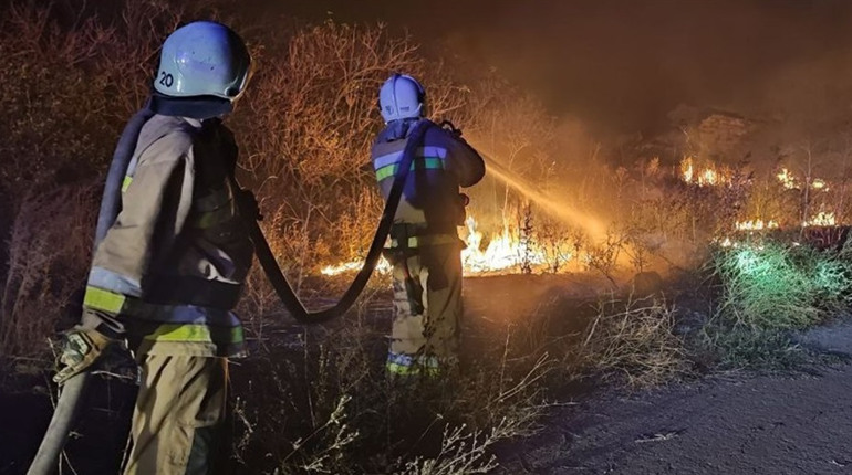 Війна нищить не лише долі, але й природу. Про нищівний вплив бойових дій свідчать дані екологів