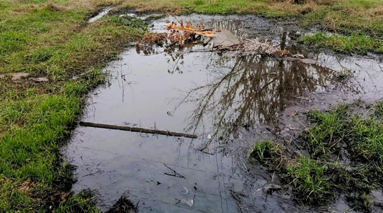 У Нерубайській громаді чоловік зливав нечистоти у землю: його оштрафували