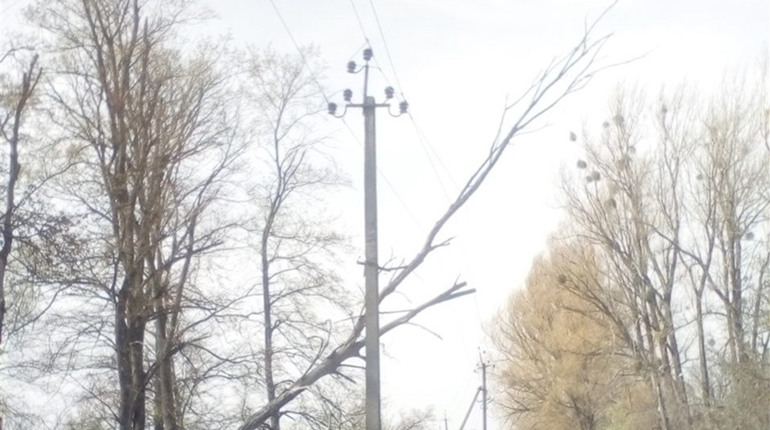 280 заявок по місту та 27 сіл частково або повністю без світла: наслідки сильного вітру 