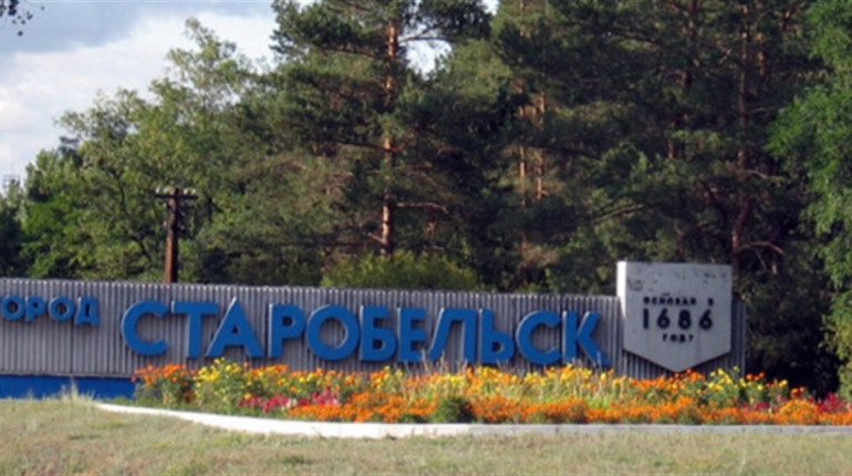До максимального тюремного строку засуджено "головного лікаря" одного з медзакладів Луганщини