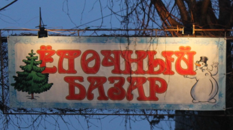 Сколько стоит новогодняя елка в Никополе