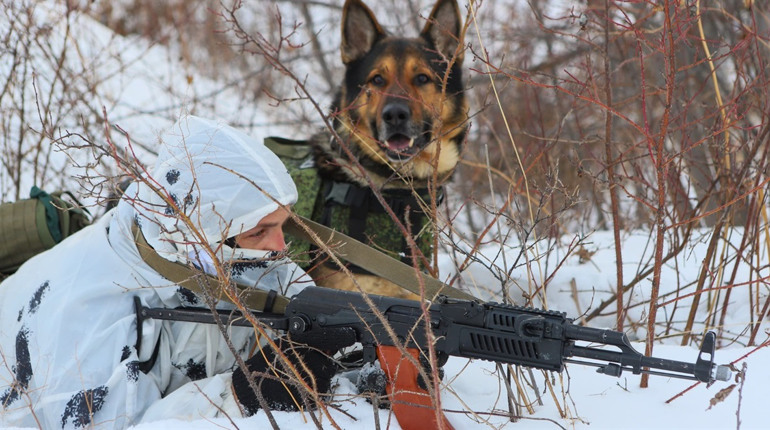 Неподалік Сватового ЗСУ відбили 28 штурмів росіян. Окупанти втратили понад 200 військових