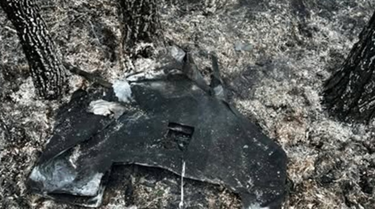Уламки "шахеда" спричинили лісову пожежу на Житомирщині