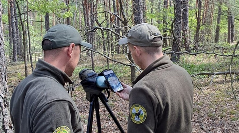 Єнотоподібні собаки та лелека чорний помічені у заповіднику на Житомирщині