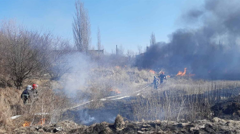 Палиш траву — сплачуй штраф! Городоччан почали притягувати до адмінвідповідальності