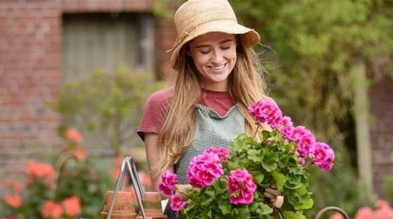 Квітка герані