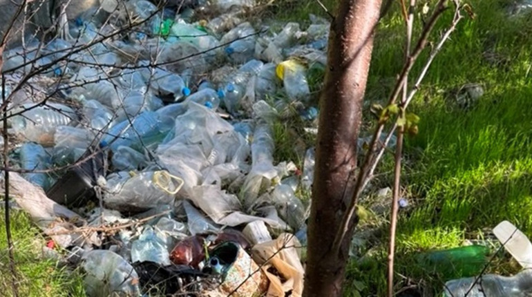 Служба охорони Нижньодністровського НПП виявила незаконний вилов, підпали та стихійне сміттєзвалище