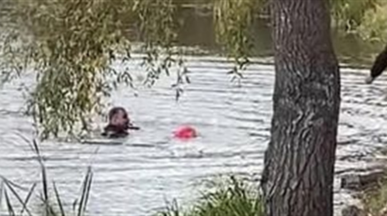 Поліцейські з Прикарпаття у Києві врятували дитину, яка ледь не втопилася