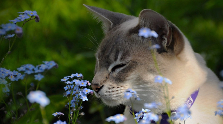 Погода на лівобережжі Херсонщини з 26 по 28 квітня: прогноз Українського гідрометеоцентру