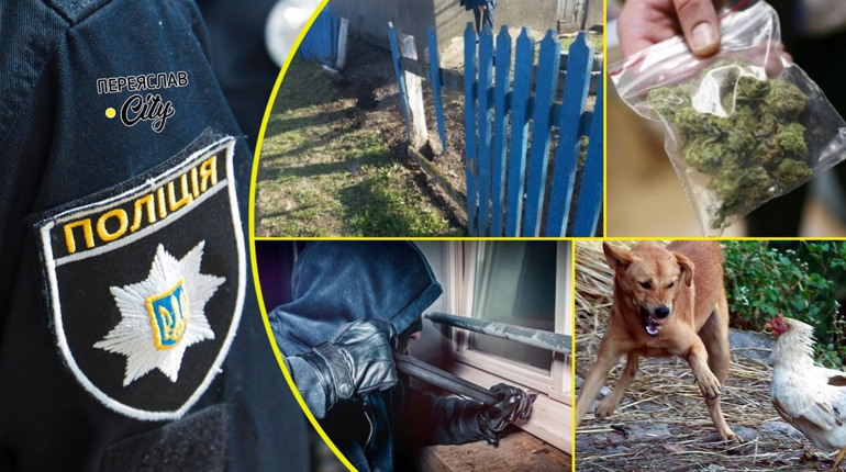 Чужий пес задавив 13 курей жительки Переяславщини, а невідомі обікрали будинок літнього чоловіка