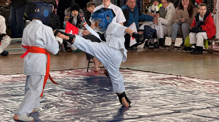 Турнір із благодійною складовою. У Первомайську каратисти вшанували Шихана Олега Овечкіна